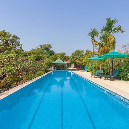Stayvista'S Casa Palmera - Pet-Friendly Villa With Pool, Garden With Gazebo, And Indoor & Outdoor Games Alībāg Exterior foto